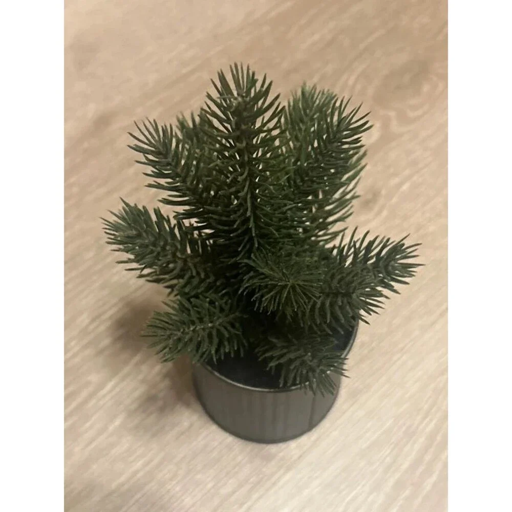 Target Small Decrative Evergreen Tree